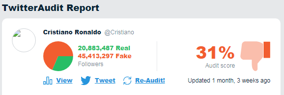 Twitter Audit